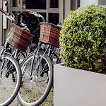 Luc, Autograph Collection