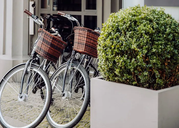 Luc, Autograph Collection